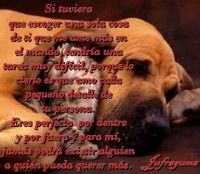 /album/fotogaleria/si-tuviera-jpeg1/